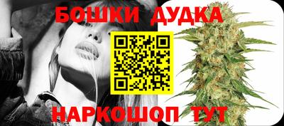 эйфоретик Ачхой-Мартан