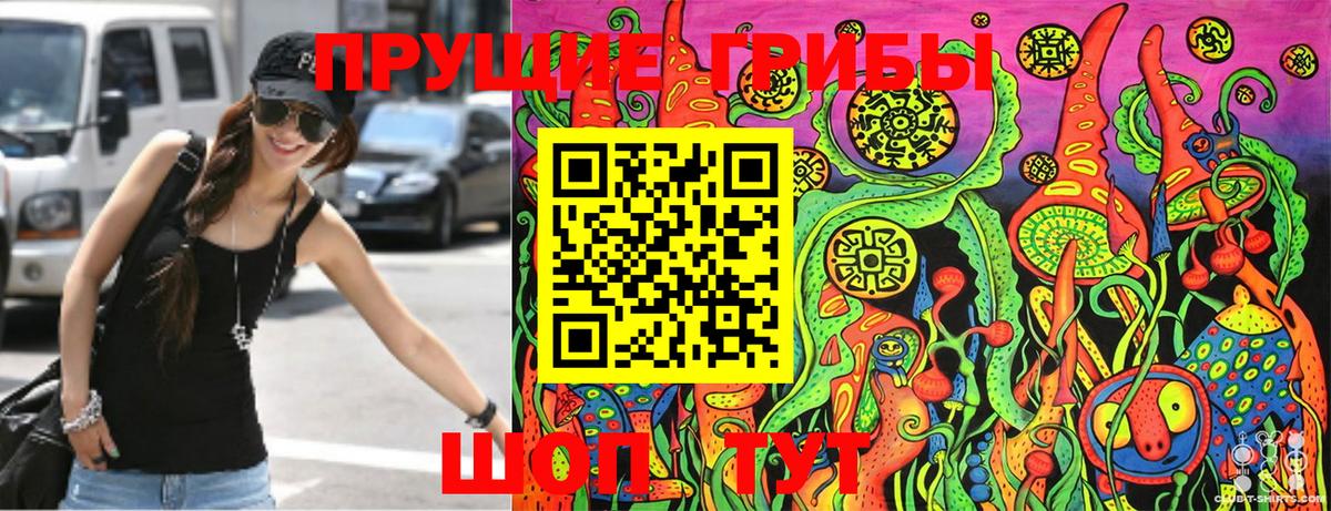 Псилоцибиновые грибы Psilocybine cubensis  продажа наркотиков  Старая Купавна  Вход с VPN  Галлюциногенные грибы GOLDEN TEACHER 