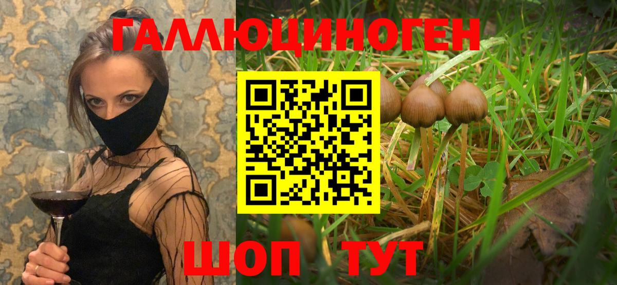 Псилоцибиновые грибы мицелий Старая Купавна